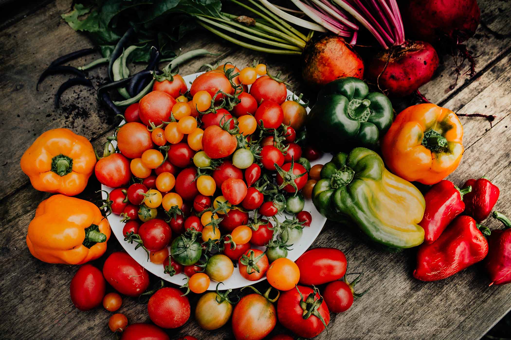 Pomodoro, tra passata e futuro: la ricetta dello spaghettone al pomodoro in  bianco